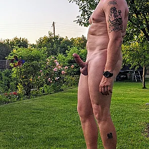 in the garden gallery image