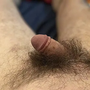 Das erste Bild von Kater_Ch's Galerie - Bärli Schwanz