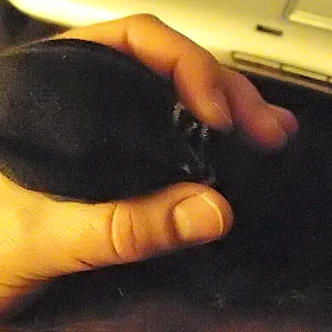 my cock gallery image