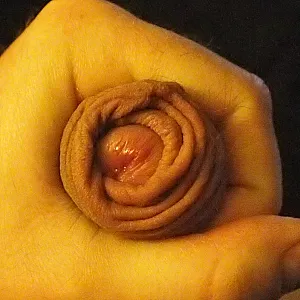 my cock gallery image