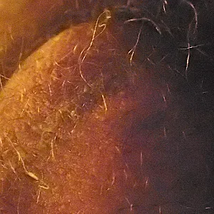 my cock gallery image