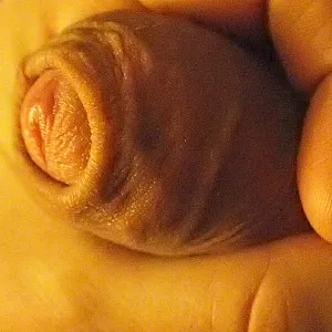 my cock gallery image