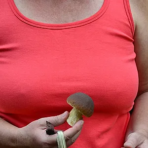 Mushroom time gallery image