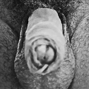 black and white gallery image