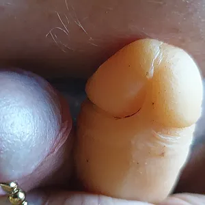 Mit dem eigenen Schwanz sich selber Ficken. Galeriebild