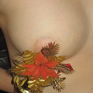 Xmas Galeriebild