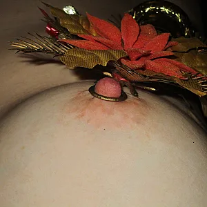 Xmas Galeriebild