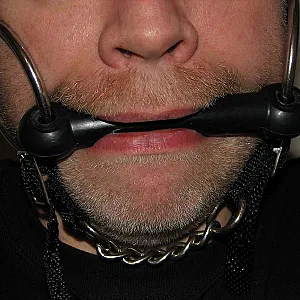 Ponyboy gallery image