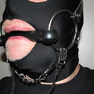 Ponyboy gallery image