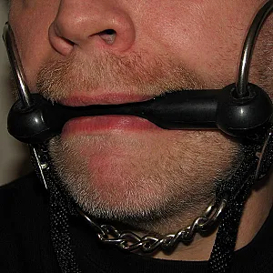 Ponyboy gallery image