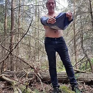 woods gallery image