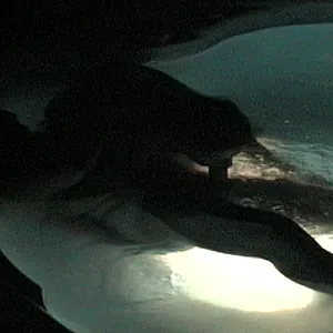 First image of Lena4711's Gallery - Water games part 1
