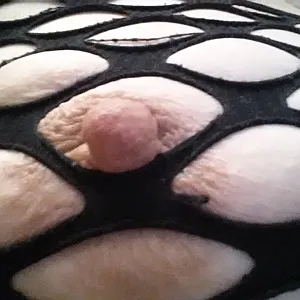 tits gallery image