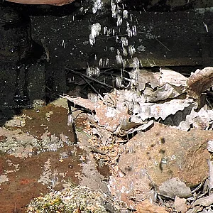Spritzig und geil auf Schienen mit NS Galeriebild