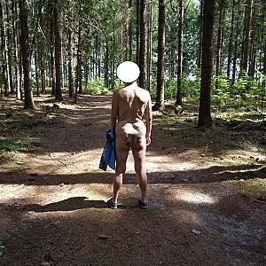 in wood gallery image