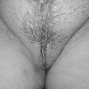 closeups gallery image