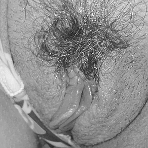 closeups gallery image