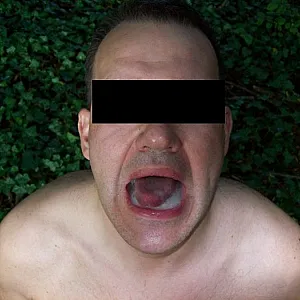 Blasen im Wald Galeriebild