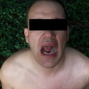 Blasen im Wald Galeriebild