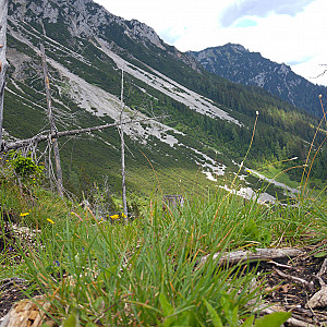 schöne Aussicht 4 Galeriebild