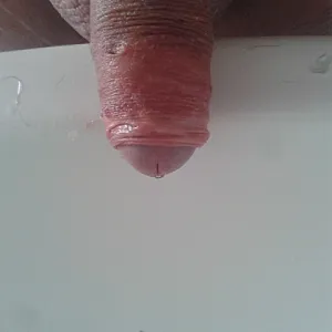 my dick gallery image