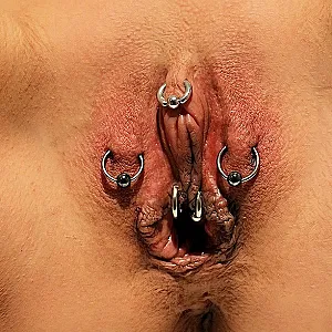 stuffed with jewelry gallery image
