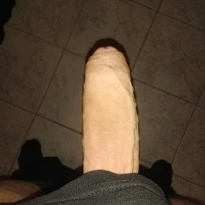 mein schwanz Galeriebild