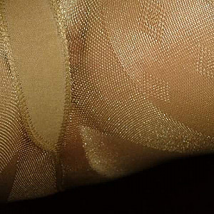 pantyhose Galeriebild