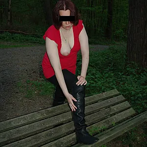 a walk in the woods gallery image