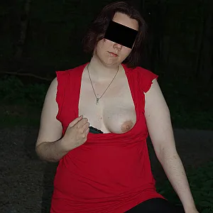 a walk in the woods gallery image