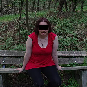 a walk in the woods gallery image