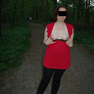 a walk in the woods gallery image