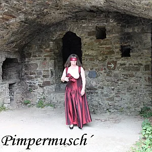 Burgruine  3 Galeriebild