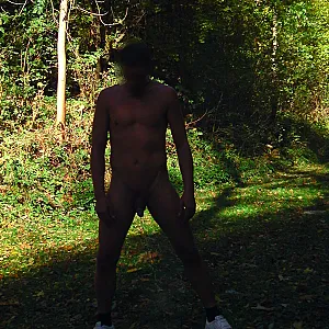 Walk in a park gallery image