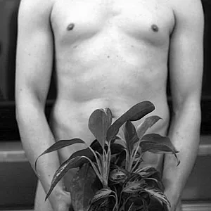 Nude in front of my window gallery image