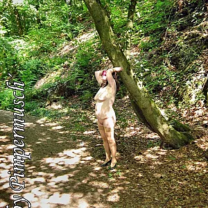outdoors 4 gallery image