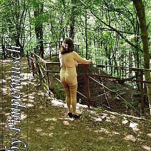 outdoors 4 gallery image