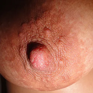 Selmas Tits 01 gallery image