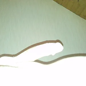 First image of zappa1970's Gallery - 18.10.14