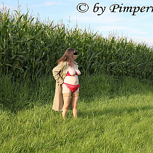 in the corn 1 gallery image