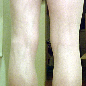 Nylonlegs gallery image