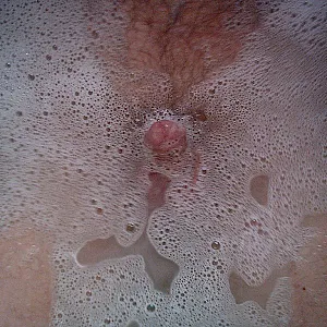 playing in the bathtub gallery image