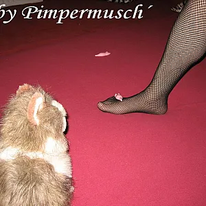 Mouse 3 gallery image