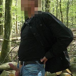 Im Wald Galeriebild