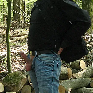 Im Wald Galeriebild