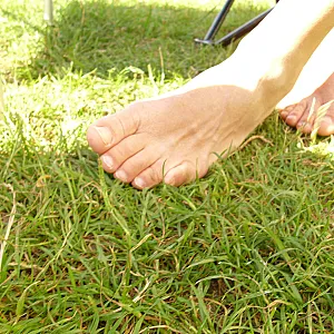 my stinky feets gallery image