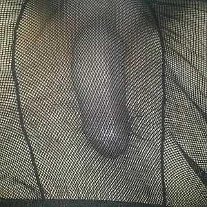 Trapped in the Net gallery image