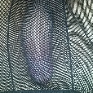 Trapped in the Net gallery image