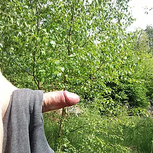 Reizt das nicht ? Galeriebild