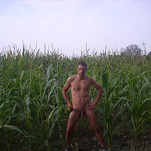 First image of einfach_iche's Gallery - Cornfield